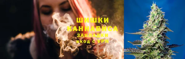 бошки Краснослободск