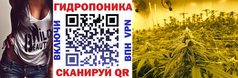 цена   omg сайт  Каннабис план  Пионерский 